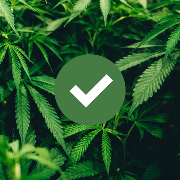 Approved CBD